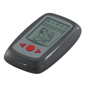 万歩計,遊歩計